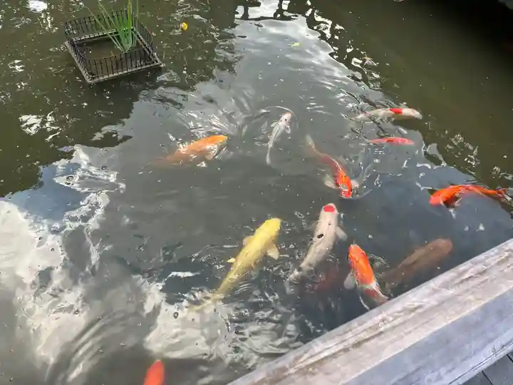 東郷神社(東京都)
