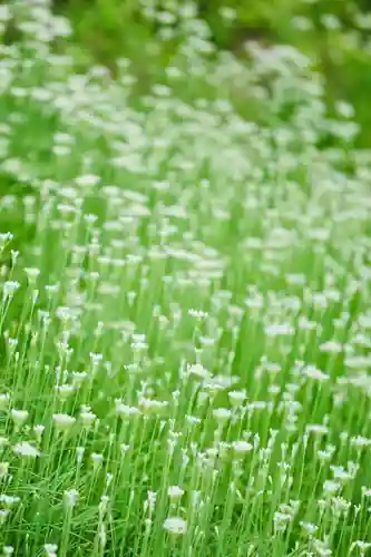 浄土寺(兵庫県)