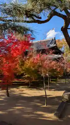 興聖寺(京都府)