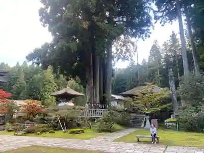 金剛三昧院(和歌山県)