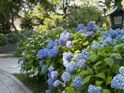 西野神社(北海道)