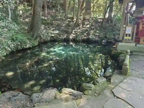 泉神社(茨城県)