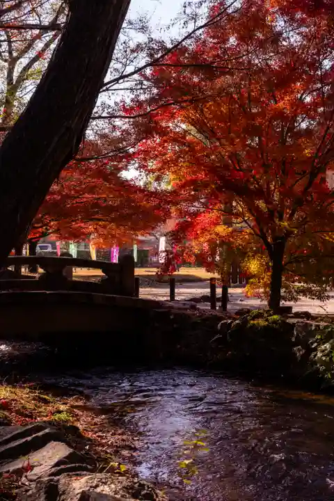 賀茂別雷神社(上賀茂神社)(京都府)