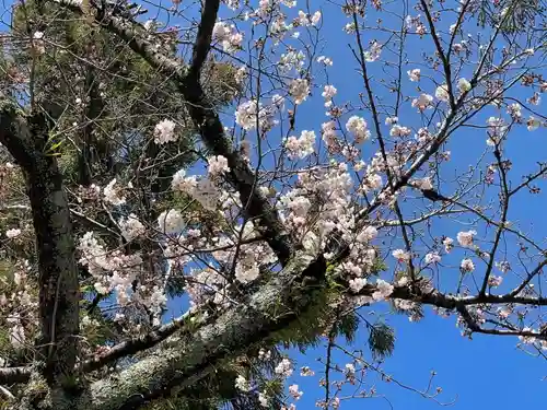 伊勢の国 四天王寺の自然