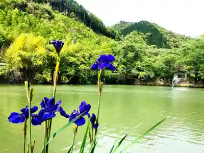 龍神ハナグリ石神社の自然