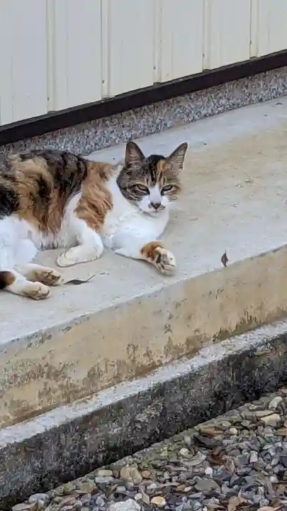 玉野御嶽神社の動物