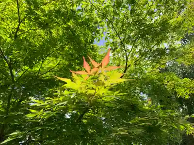 足羽神社(福井県)