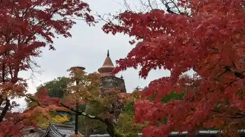 妙満寺(京都府)