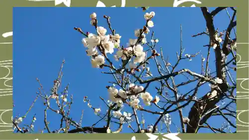 湯島天満宮(東京都)