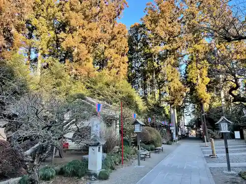 芳賀天満宮の建物その他