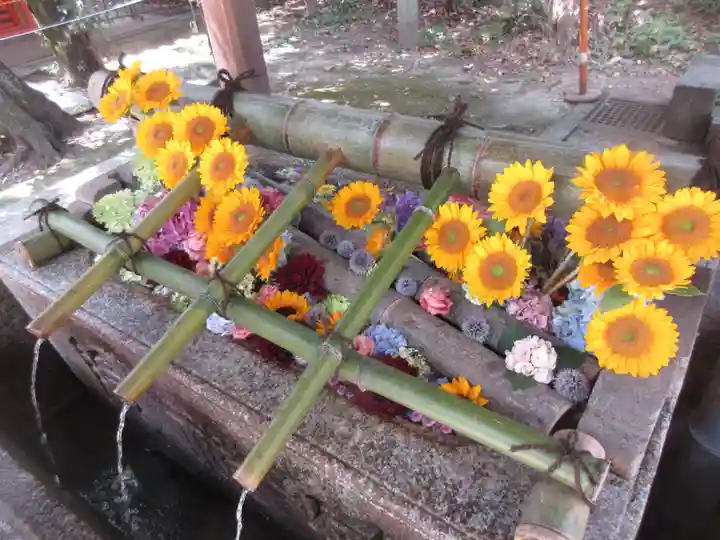 八坂神社(祇園さん)(京都府)