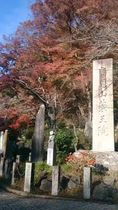 高尾山薬王院の{uncategorized: "未分類", other: "その他", undefined: "問題あり", building: "その他建物", grave: "お墓", sacred_gate: "鳥居", guardian: "狛犬", statue: "像", buddha: "仏像", history: "歴史", nature: "自然", garden: "庭園", animal: "動物", pagoda: "塔", temizu: "手水舎", mountain_gate: "山門・神門", sanctuary: "本殿・本堂", subordinate: "末社・摂社", art: "芸術", scenery: "景色", jizo: "地蔵", ema: "絵馬", goshuin: "御朱印", omikuji: "おみくじ", items: "授与品その他", amulet: "お守り", goshuincho: "御朱印帳", eats: "食事", festival: "お祭り", votive_dance: "神楽", shichigosan: "七五三参", wedding: "結婚式", experience: "体験その他", initially: "初詣", around: "周辺", anti_infection: "感染症対策"}
