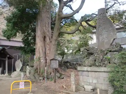 菅原神社(神奈川県)