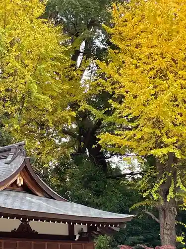 阿佐ヶ谷神明宮(東京都)