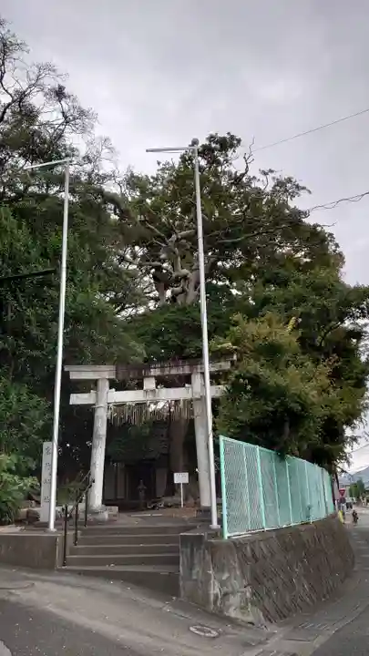 高松宮竹神社(静岡県)