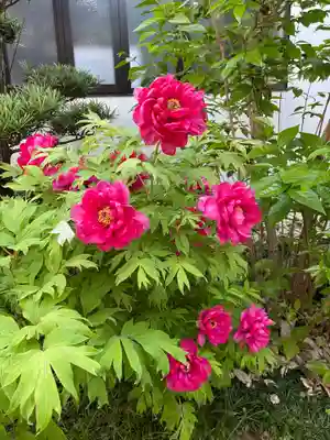 梅香寺(三重県)