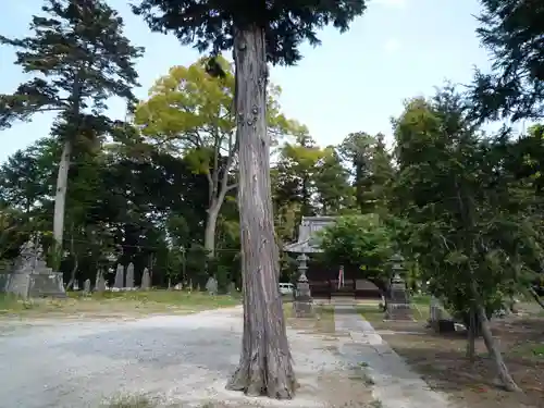 白山神社の自然