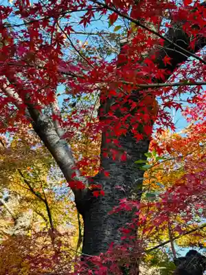 増上寺(東京都)