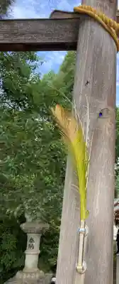 進雄神社(群馬県)