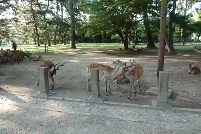 興福寺(奈良県)