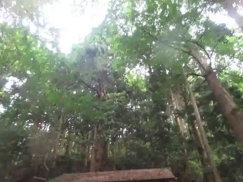 七高神社(秋田県)