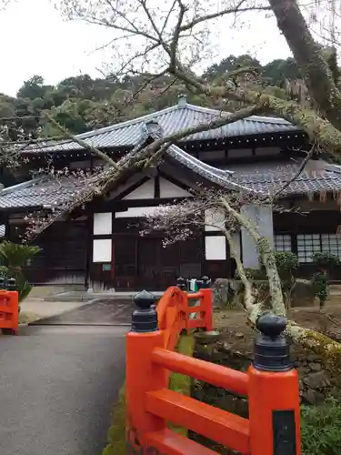 金剛寺の本殿