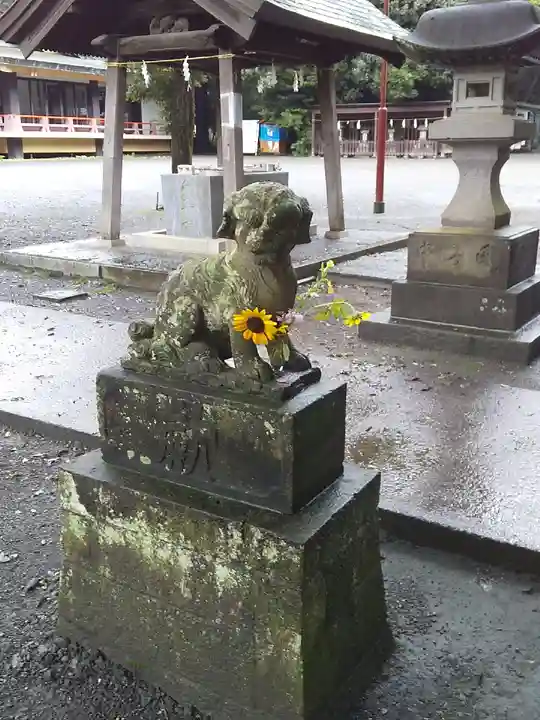 東村山八坂神社の狛犬
