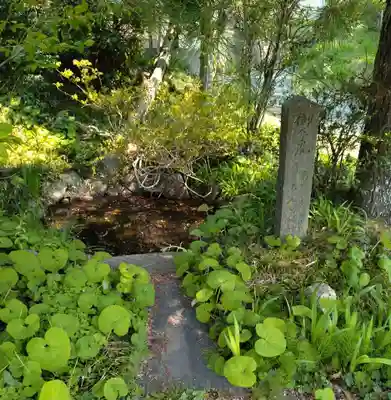 新山神社(宮城県)