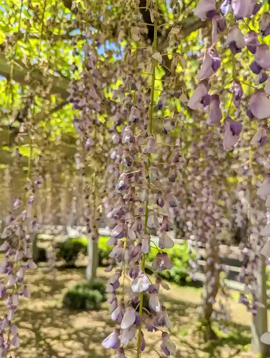 三大神社(滋賀県)