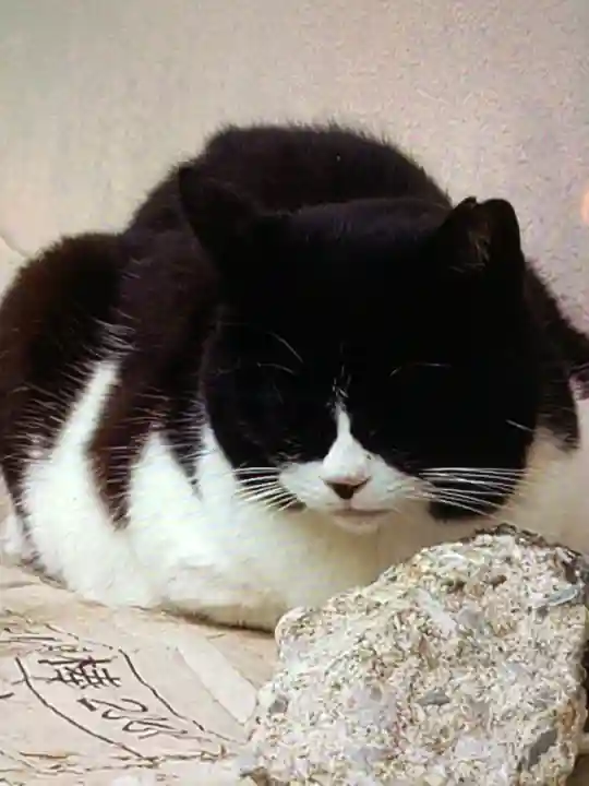 白金氷川神社(東京都)