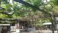 國領神社の庭園