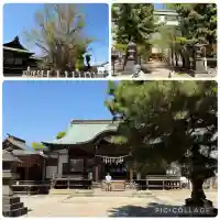 葛飾八幡宮の{uncategorized: "未分類", other: "その他", undefined: "問題あり", building: "その他建物", grave: "お墓", sacred_gate: "鳥居", guardian: "狛犬", statue: "像", buddha: "仏像", history: "歴史", nature: "自然", garden: "庭園", animal: "動物", pagoda: "塔", temizu: "手水舎", mountain_gate: "山門・神門", sanctuary: "本殿・本堂", subordinate: "末社・摂社", art: "芸術", scenery: "景色", jizo: "地蔵", ema: "絵馬", goshuin: "御朱印", omikuji: "おみくじ", items: "授与品その他", amulet: "お守り", goshuincho: "御朱印帳", eats: "食事", festival: "お祭り", votive_dance: "神楽", shichigosan: "七五三参", wedding: "結婚式", experience: "体験その他", initially: "初詣", around: "周辺", anti_infection: "感染症対策"}
