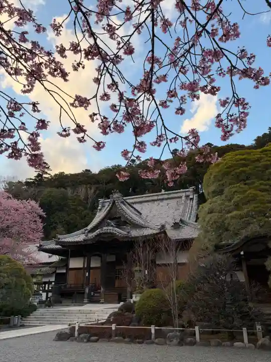 修禅寺の{uncategorized: "未分類", other: "その他", undefined: "問題あり", building: "その他建物", grave: "お墓", sacred_gate: "鳥居", guardian: "狛犬", statue: "像", buddha: "仏像", history: "歴史", nature: "自然", garden: "庭園", animal: "動物", pagoda: "塔", temizu: "手水舎", mountain_gate: "山門・神門", sanctuary: "本殿・本堂", subordinate: "末社・摂社", art: "芸術", scenery: "景色", jizo: "地蔵", ema: "絵馬", goshuin: "御朱印", omikuji: "おみくじ", items: "授与品その他", amulet: "お守り", goshuincho: "御朱印帳", eats: "食事", festival: "お祭り", votive_dance: "神楽", shichigosan: "七五三参", wedding: "結婚式", experience: "体験その他", initially: "初詣", around: "周辺", anti_infection: "感染症対策"}
