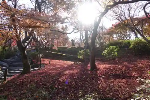 東福禅寺（東福寺）の庭園