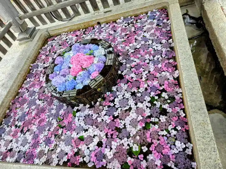 長浜八幡宮(滋賀県)
