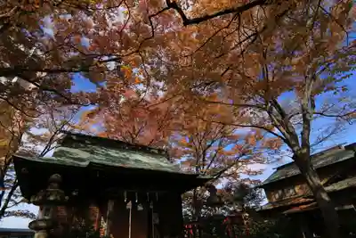 愛宕神社の本殿・本堂