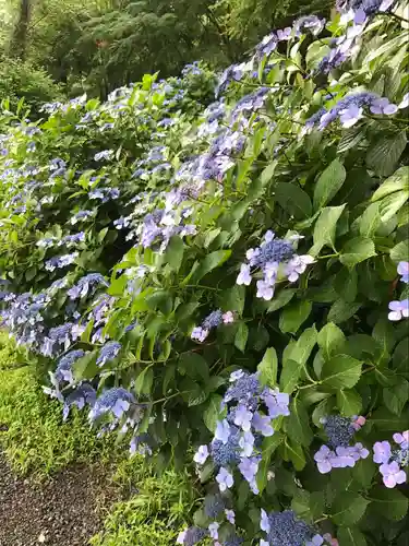高幡不動尊　金剛寺(東京都)