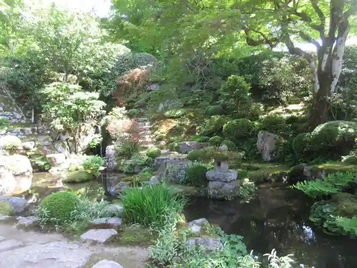 実光院の庭園