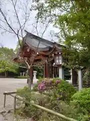 橿原神宮(奈良県)