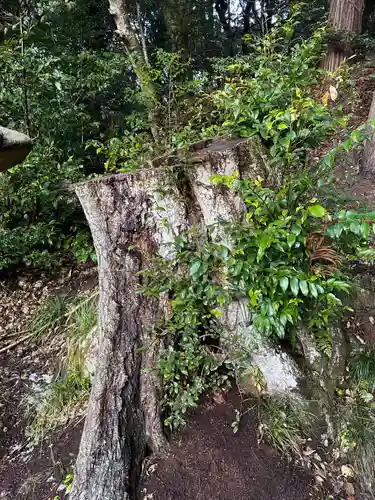 奈具神社(京都府)