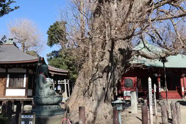 勝福寺のその他建物