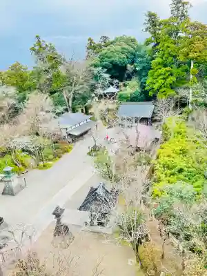 笠森寺の{uncategorized: "未分類", other: "その他", undefined: "問題あり", building: "その他建物", grave: "お墓", sacred_gate: "鳥居", guardian: "狛犬", statue: "像", buddha: "仏像", history: "歴史", nature: "自然", garden: "庭園", animal: "動物", pagoda: "塔", temizu: "手水舎", mountain_gate: "山門・神門", sanctuary: "本殿・本堂", subordinate: "末社・摂社", art: "芸術", scenery: "景色", jizo: "地蔵", ema: "絵馬", goshuin: "御朱印", omikuji: "おみくじ", items: "授与品その他", amulet: "お守り", goshuincho: "御朱印帳", eats: "食事", festival: "お祭り", votive_dance: "神楽", shichigosan: "七五三参", wedding: "結婚式", experience: "体験その他", initially: "初詣", around: "周辺", anti_infection: "感染症対策"}