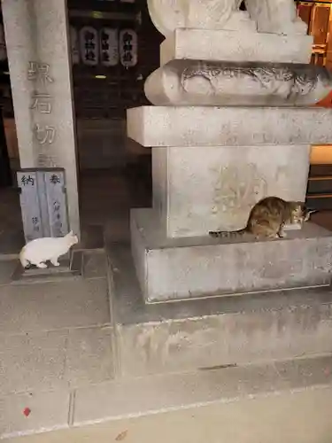 石切劔箭神社の動物