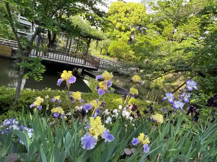 東郷神社の自然