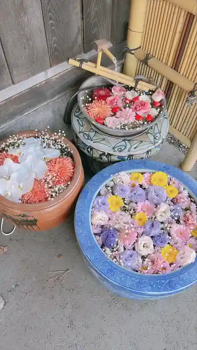 多賀神社の手水舎