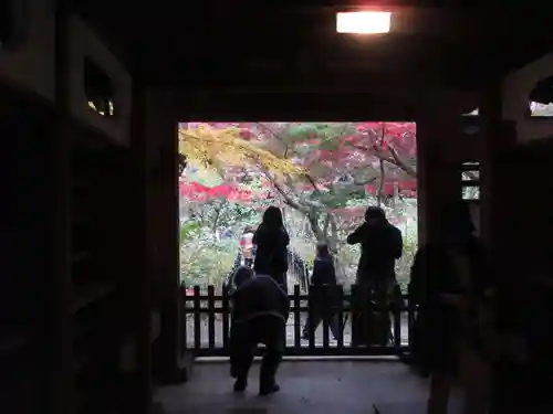 本土寺の景色