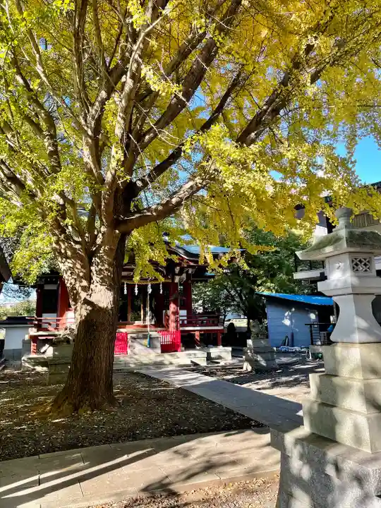 小金八坂神社(千葉県)