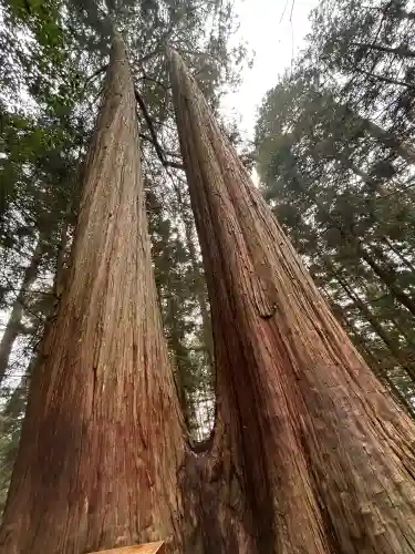三峯神社の{uncategorized: "未分類", other: "その他", undefined: "問題あり", building: "その他建物", grave: "お墓", sacred_gate: "鳥居", guardian: "狛犬", statue: "像", buddha: "仏像", history: "歴史", nature: "自然", garden: "庭園", animal: "動物", pagoda: "塔", temizu: "手水舎", mountain_gate: "山門・神門", sanctuary: "本殿・本堂", subordinate: "末社・摂社", art: "芸術", scenery: "景色", jizo: "地蔵", ema: "絵馬", goshuin: "御朱印", omikuji: "おみくじ", items: "授与品その他", amulet: "お守り", goshuincho: "御朱印帳", eats: "食事", festival: "お祭り", votive_dance: "神楽", shichigosan: "七五三参", wedding: "結婚式", experience: "体験その他", initially: "初詣", around: "周辺", anti_infection: "感染症対策"}