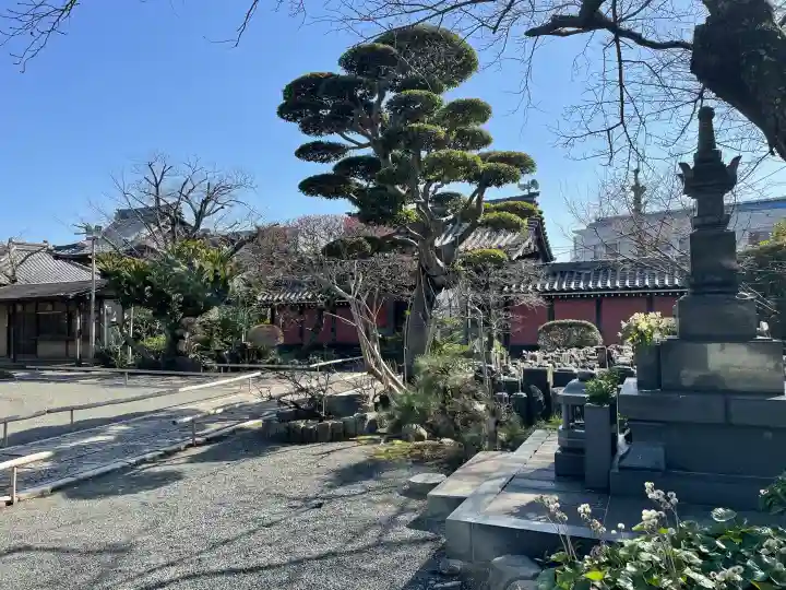 蓮光寺の{uncategorized: "未分類", other: "その他", undefined: "問題あり", building: "その他建物", grave: "お墓", sacred_gate: "鳥居", guardian: "狛犬", statue: "像", buddha: "仏像", history: "歴史", nature: "自然", garden: "庭園", animal: "動物", pagoda: "塔", temizu: "手水舎", mountain_gate: "山門・神門", sanctuary: "本殿・本堂", subordinate: "末社・摂社", art: "芸術", scenery: "景色", jizo: "地蔵", ema: "絵馬", goshuin: "御朱印", omikuji: "おみくじ", items: "授与品その他", amulet: "お守り", goshuincho: "御朱印帳", eats: "食事", festival: "お祭り", votive_dance: "神楽", shichigosan: "七五三参", wedding: "結婚式", experience: "体験その他", initially: "初詣", around: "周辺", anti_infection: "感染症対策"}