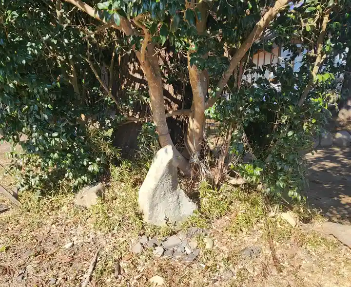 陸奥総社宮の周辺